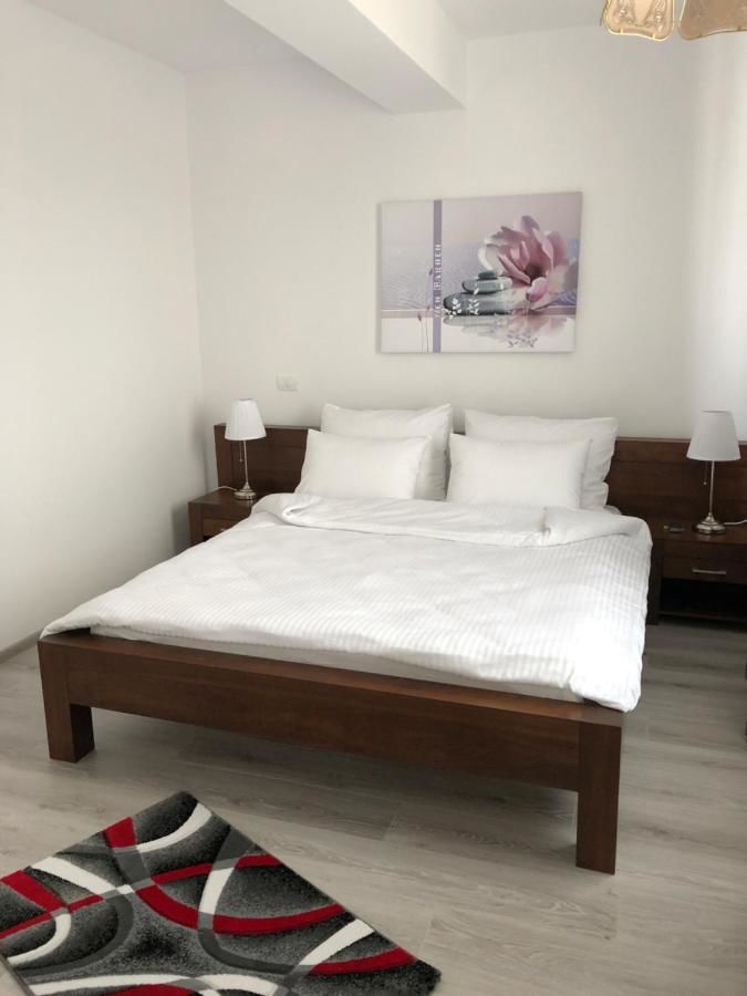 Отели типа «постель и завтрак» Apartments Excelsior Mamaia Nord Мамайя Норд – Нэводари-22