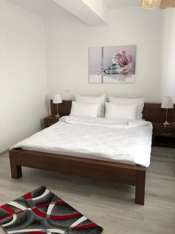 Отели типа «постель и завтрак» Apartments Excelsior Mamaia Nord Мамайя Норд – Нэводари-49