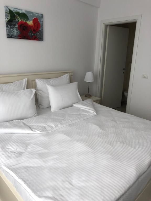 Отели типа «постель и завтрак» Apartments Excelsior Mamaia Nord Мамайя Норд – Нэводари-52